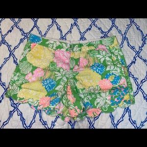 HIBISCUS STROLL Buttercup short